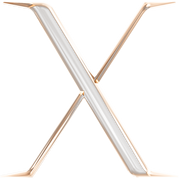 Ornate Lowercase Letter X